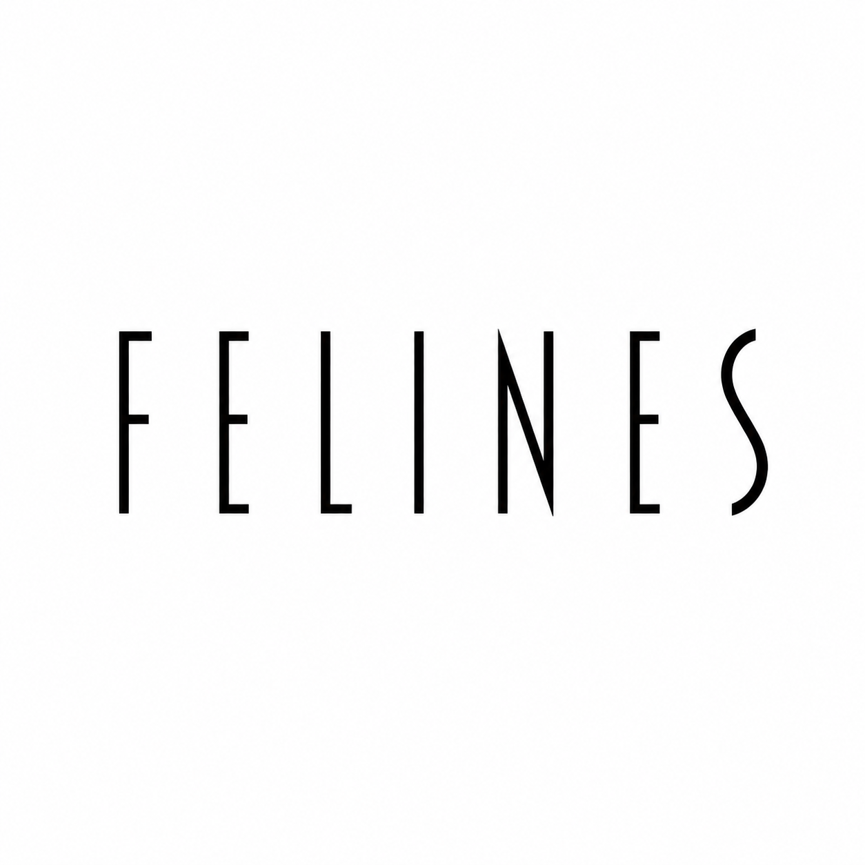 Photo of Felines Escorts Agency